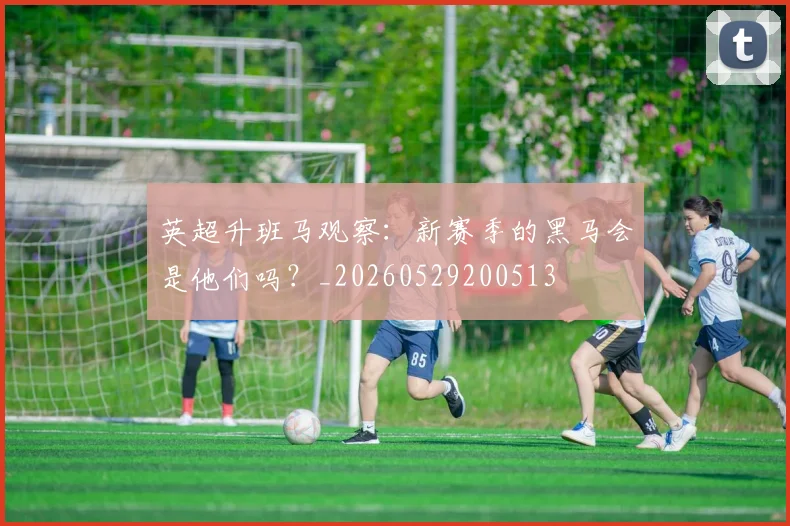 英超升班马观察:新赛季的黑马会是他们吗?_20260529200513