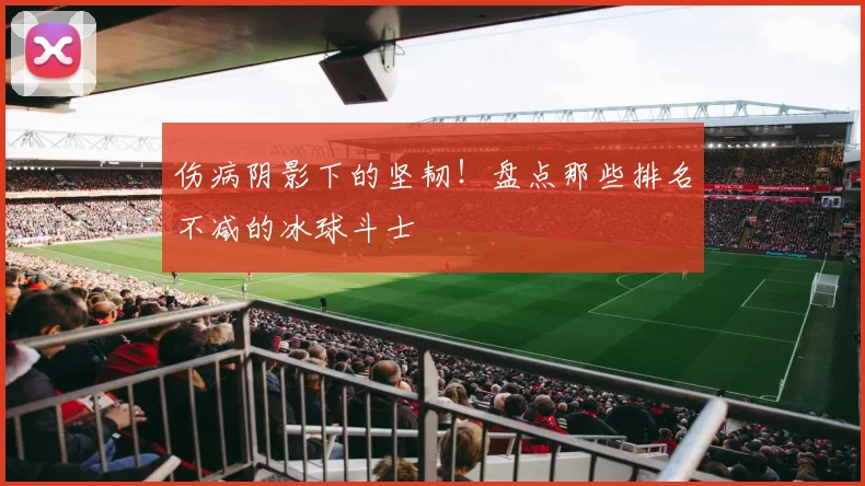 伤病阴影下的坚韧！盘点那些排名不减的冰球斗士