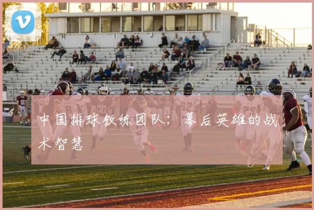中国排球教练团队：幕后英雄的战术智慧