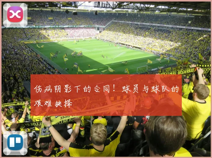 伤病阴影下的合同！球员与球队的艰难抉择