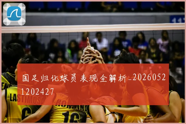国足归化球员表现全解析_20260521202427
