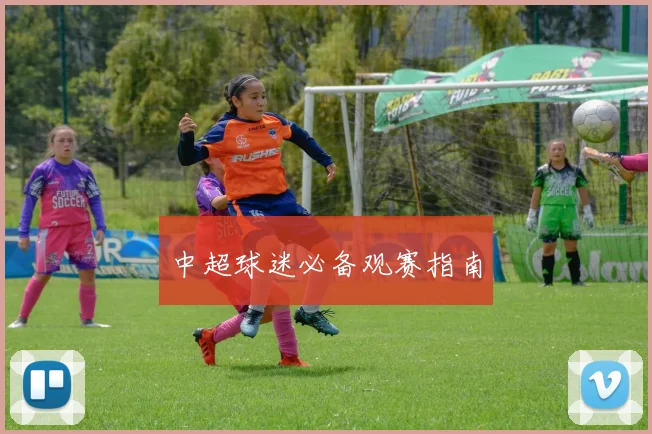 中超球迷必备观赛指南
