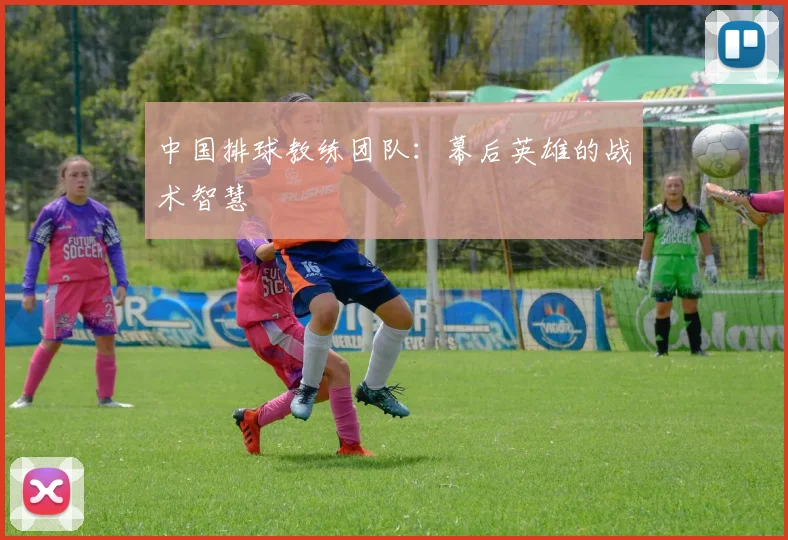 中国排球教练团队：幕后英雄的战术智慧